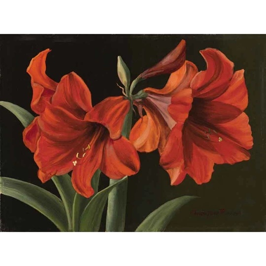 Image 1 of Grafitec Red Trumpet Flowers Tapestry Canvas