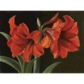 Image of Grafitec Red Trumpet Flowers Tapestry Canvas