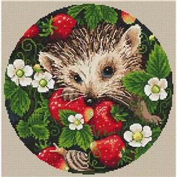 Merejka Strawberries Cross Stitch Kit