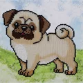 Image of VDV Pug-Dog Embroidery Kit