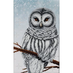 VDV Snow Owl Embroidery Kit