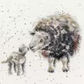 Image of Bothy Threads Ewe and Me Cross Stitch Kit