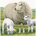 Image of Lanarte Sheep - Evenweave Cross Stitch Kit