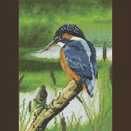 Heritage Kingfisher - Evenweave Cross Stitch Kit