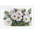 Image of Merejka White Flowers Cross Stitch Kit