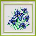 Image of VDV Irises Cross Stitch Kit