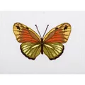Image of VDV Green Butterfly Cross Stitch Kit