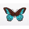 Image of VDV Turquoise Butterfly Cross Stitch Kit