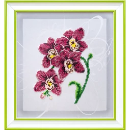 Embroidery Orchids