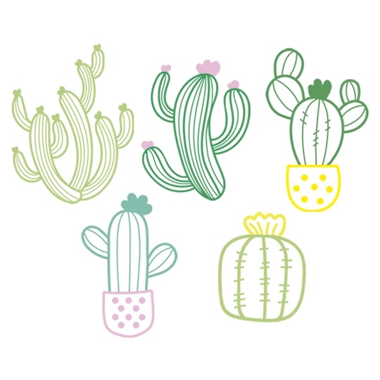 Image 1 of VDV Cacti Embroidery Kit