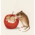 Image of Lanarte Little Mouse Cross Stitch Kit
