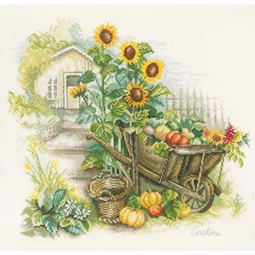 Wheelbarrow and Sunflowers
