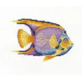 Image of DMC Tropical Fish Cross Stitch Kit