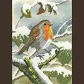 Image of Heritage Robin in Winter - Evenweave Christmas Cross Stitch Kit