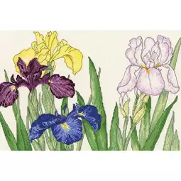 Bothy Threads Iris Blooms Cross Stitch Kit