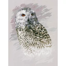 Lanarte Snowy Owl Cross Stitch Kit