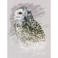 Image of Lanarte Snowy Owl Cross Stitch Kit