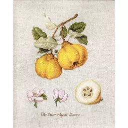 Luca-S The Pear Shaped Quince Cross Stitch Kit