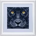 Image of VDV Panther Embroidery Kit