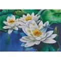Image of Panna Gentle Lotuses Embroidery Kit