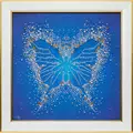 Image of VDV Butterfly Embroidery Kit
