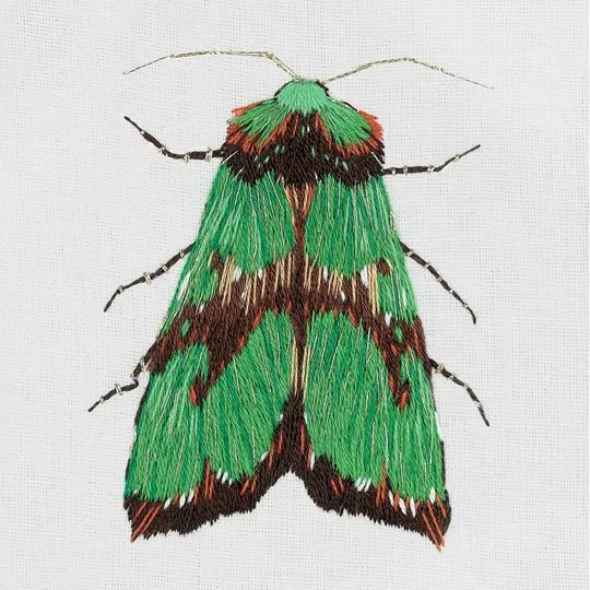 Image 1 of Panna Green Moth Embroidery Kit