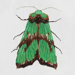 Panna Green Moth Embroidery Kit