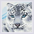Image of RIOLIS Snow Leopard Diamond Mosaic Kit