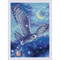 RIOLIS Magic Owl Diamond Mosaic Kit