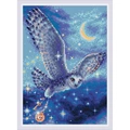 Image of RIOLIS Magic Owl Diamond Mosaic Kit