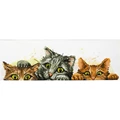 Image of Needleart World Curious Kittens No Count Cross Stitch