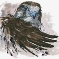 Image of Needleart World Falcon Salute No Count Cross Stitch Kit