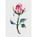 Image of Panna Pink Flower Bud Embroidery Kit