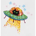 Image of Panna Cosmic Cat Embroidery Kit