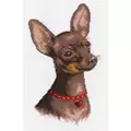 Image of Panna Toy Terrier Cross Stitch Kit