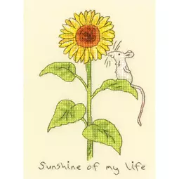 Sunshine of My Life