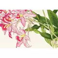 Image of Bothy Threads Orchid Blooms Cross Stitch Kit
