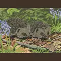 Image of Heritage Hedgehogs in Spring - Aida Cross Stitch Kit