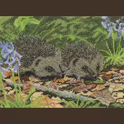 Heritage Hedgehogs in Spring - Evenweave Cross Stitch Kit