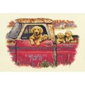 Image of Dimensions Golden Ride Cross Stitch Kit