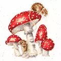 Image of Bothy Threads The Fairy Ring Cross Stitch Kit