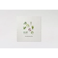 Image of DMC House Plants Embroidery Kit