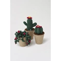 Image of DMC Amigurumi Cactus Crochet Kit