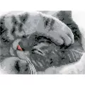 Image of Vervaco Cute Kitten Cross Stitch