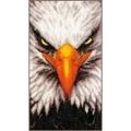 Image of Lanarte Close-Up Eagle Cross Stitch Kit