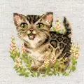 Image of RIOLIS Bengal Kitten Cross Stitch