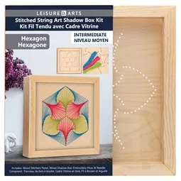 Leisure Arts Shadow Box Hexagon Wood Stitchery Kit