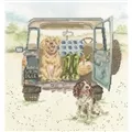 Image of Bothy Threads Paws for a Picnic Cross Stitch Kit