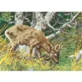 Image of Gobelin-L Woodland Deer Tapestry Canvas