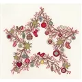 Image of Bothy Threads Star of Wonder Christmas Cross Stitch Kit